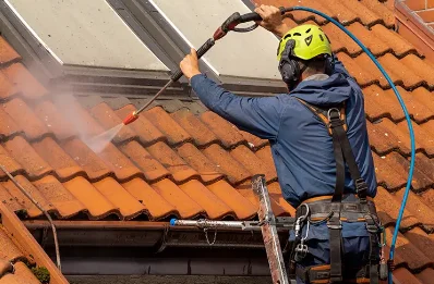 Démoussage et hydrofuge de toiture à Monferran-Savès